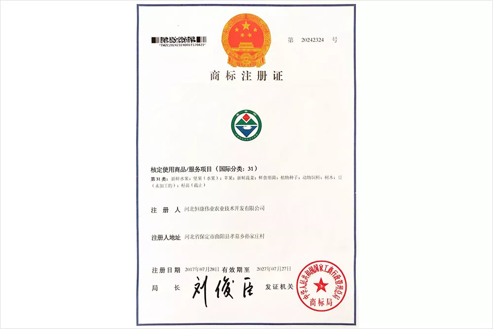 《庄子河》商标注册证书