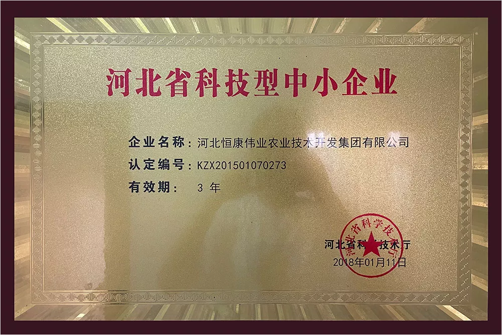 河北省科技型中小企业