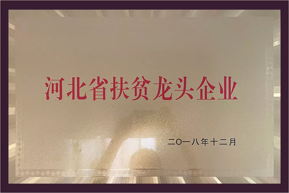 河北省扶贫龙头企业